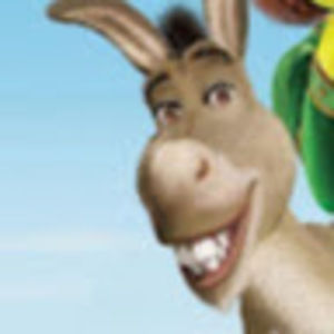 Meet your Posher, Nathan